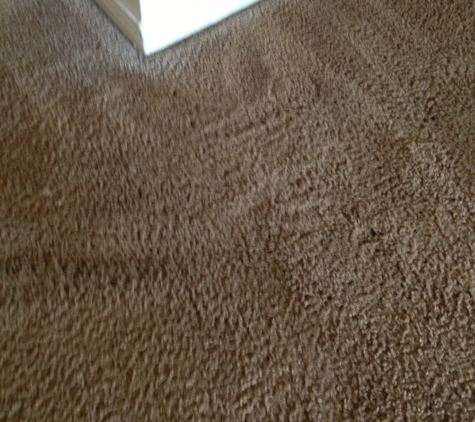 Around the Bay Carpet Cleaning