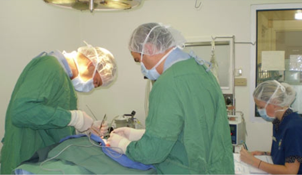 Whitehorse Veterinary Hospital