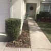 Divine Lawncare Services LLC gallery