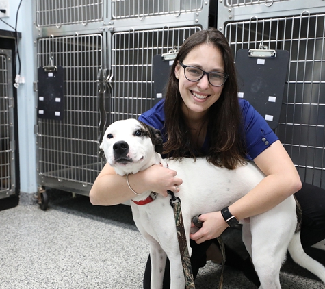 BluePearl Pet Hospital - Gainesville, FL