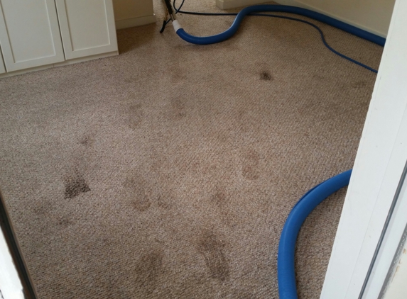 A.K.A Carpet Service - Chula Vista, CA. Before