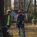 Woodie's Tree Service - Tree Service