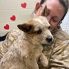 VCA Dudley Avenue Animal Hospital gallery