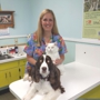 Keystone Heights Animal Hospital