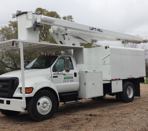 Andy's Tree Service - Brazoria, TX