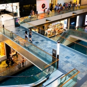 Gallery Image Number 3