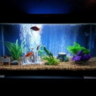 R and R Aquarium Services