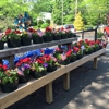 Wyman's Garden Center gallery