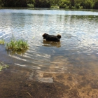 Alimagnet Dog Park