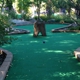 Harbor Pointe Miniature Golf