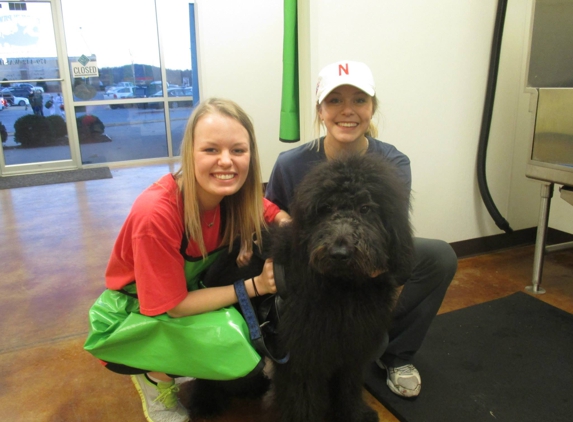 BarknPaws Pet Wash , Market & Grooming - Fayetteville, AR