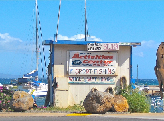 Maalaea Harbor Activities - Wailuku, HI