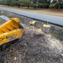 Earthworxs Solutions - Tree Service