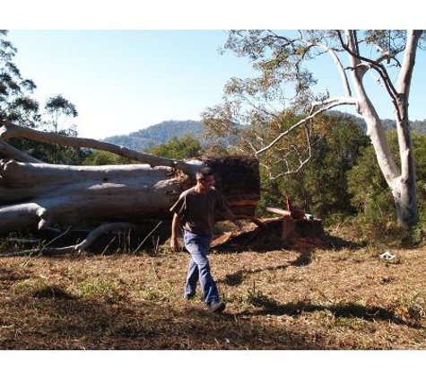 Arbpro Tree Specialists - Moonee Beach, NSW