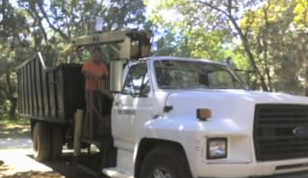 Beechnut Tree Service - New Port Richey, FL. Tree Removals