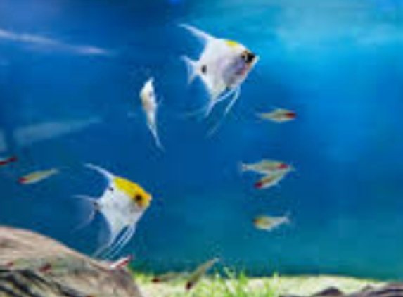 Aquarium Specialists - Mount Hope, KS