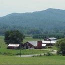 Patterson Equestrian Center - Pet Services