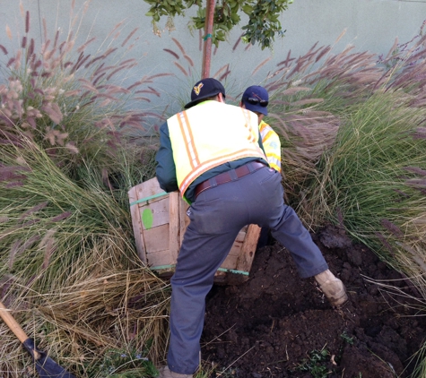 G&G Landscape and Tree Service - Chino, CA