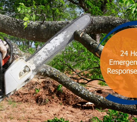 A-Local Tree Services