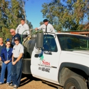 Sims Tree Health Specialists Inc. - Arborists