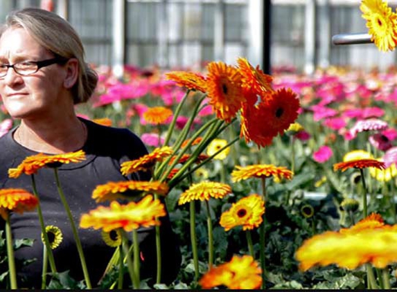 Floraco Pty Ltd - West Leederville, WA