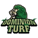 Dominion Turf - Artificial Grass