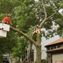 Strickland Tree Service Inc - Tree Service