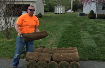 El Toro Zoysia  Palmers Turf Farm