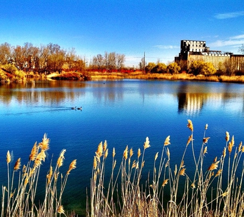 Tifft Nature Preserve - Buffalo, NY