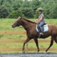 Horizons Horseback Equestrian Center