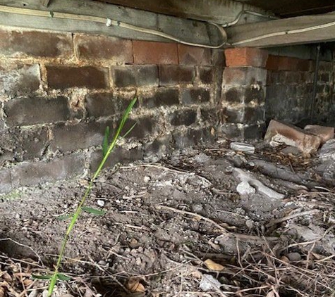Precision Building. Rising Damp