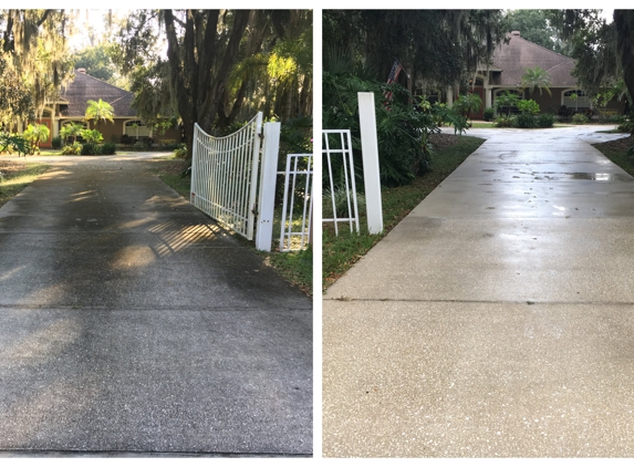 Top Down Exterior Cleaning - Lakeland, FL