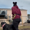 Koda's Canine Academy gallery