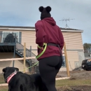 Koda's Canine Academy - Pet Training