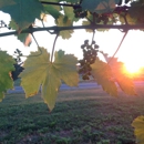 Round Barn Winery - Distillers