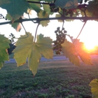 Round Barn Winery