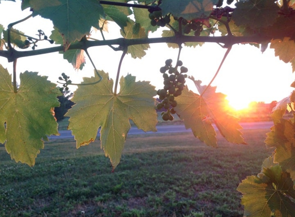 Round Barn Winery - Baroda, MI