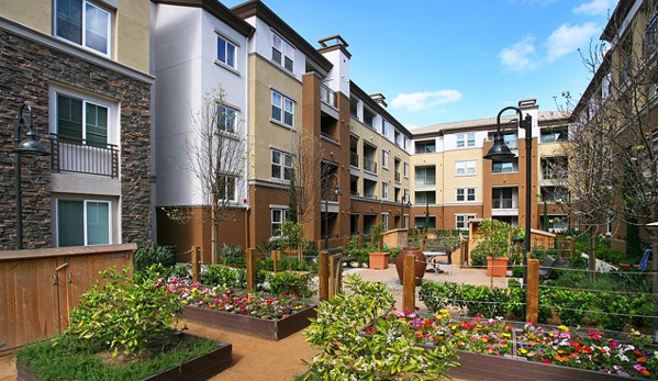 Main Street Village Apartments - Irvine, CA