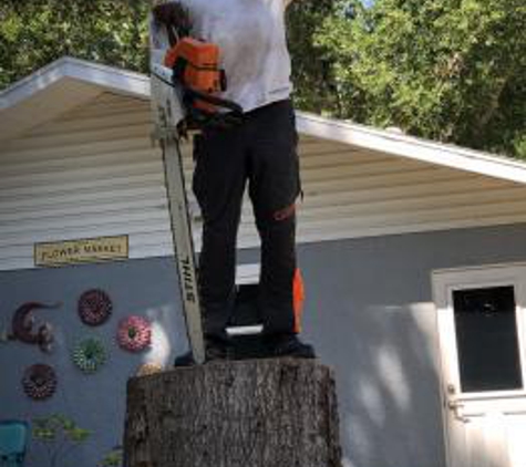 Harmoni Land & Tree Service - Wabasso, FL