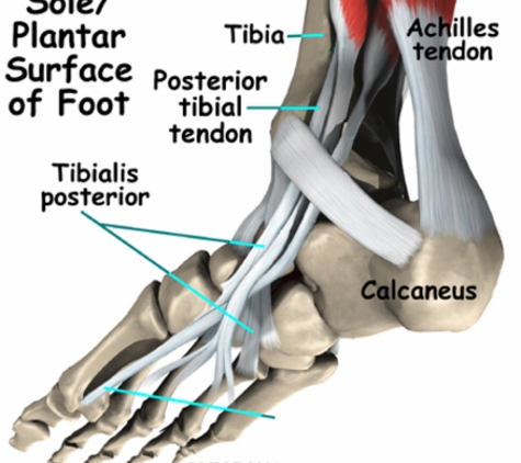Footsmart Podiatry - Maroochydore, QLD