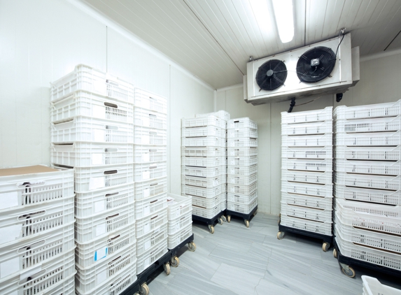 Flash Communications - East Wagga Wagga, NSW