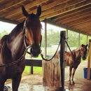 JLD Equestrian - Horse Training