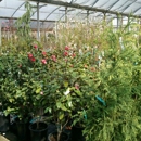 Bennett Nurseries - Nurseries-Plants & Trees