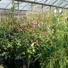 Bennett Nurseries