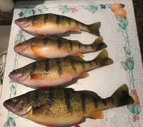 Walleye King - Waterford, MI