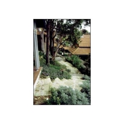 Gallery Image Number 7