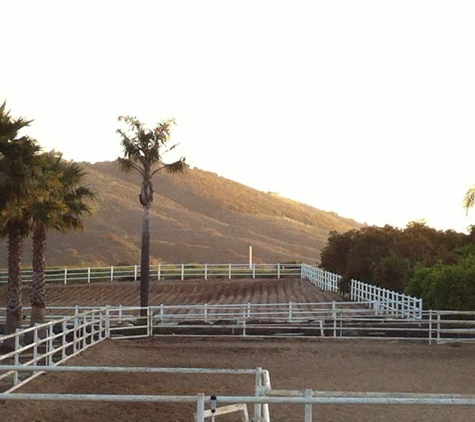 STC Dressage Inc. - Moorpark, CA