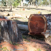 Gallery Image Number 4