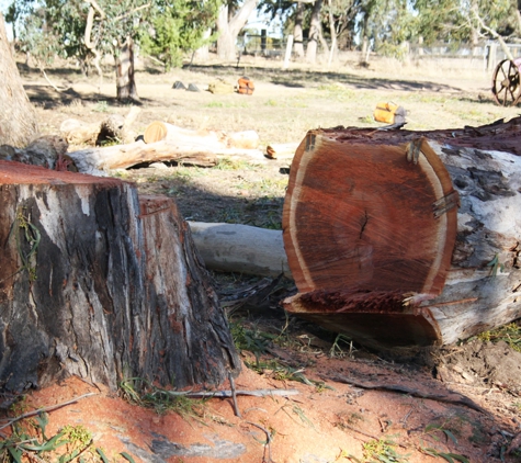 Regal Trees Pty Ltd