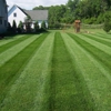 Action lawn & property maintenance gallery